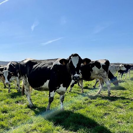 Chambre A La Ferme Precy-le-Sec Eksteriør bilde